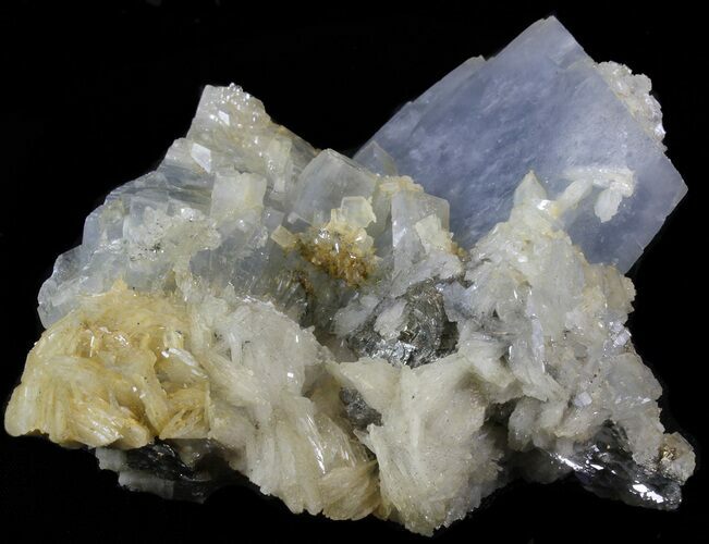 Thick, Tabular Blue Barite Crystals on Pyrite - Morocco #42224